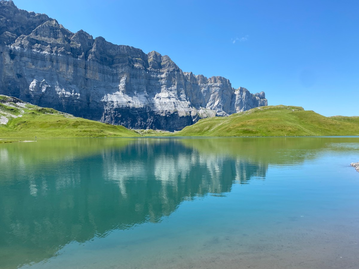 Bilan de la treizième&nbsp;semaine