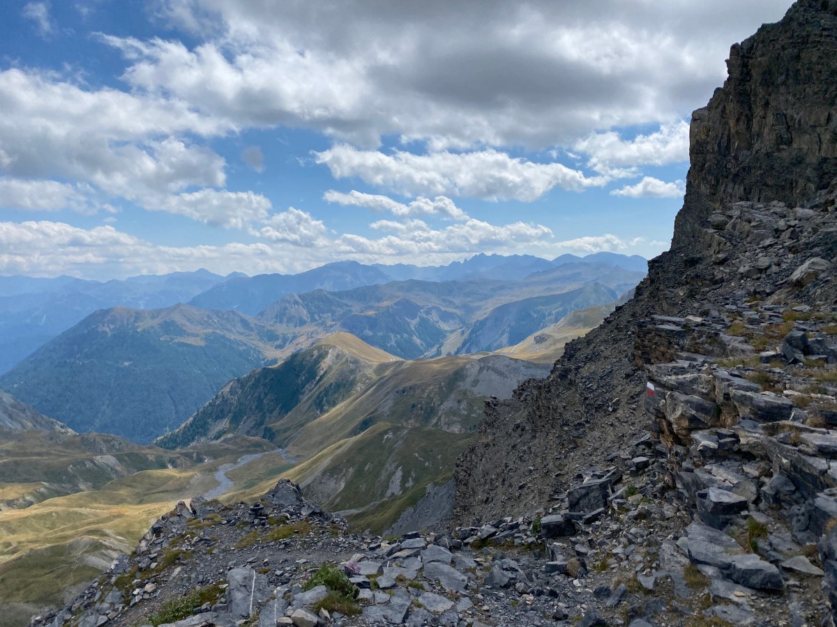 Bilan de la quinzième&nbsp;semaine