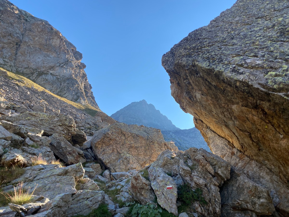 Bilan de la seizième&nbsp;semaine