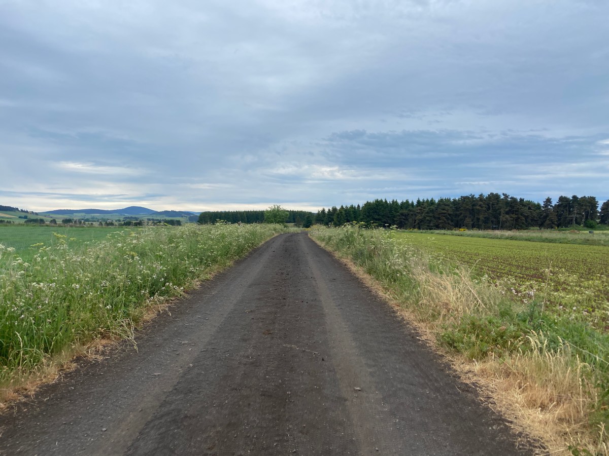 3 jours de randonnée sur le Chemin de&nbsp;Stevenson.