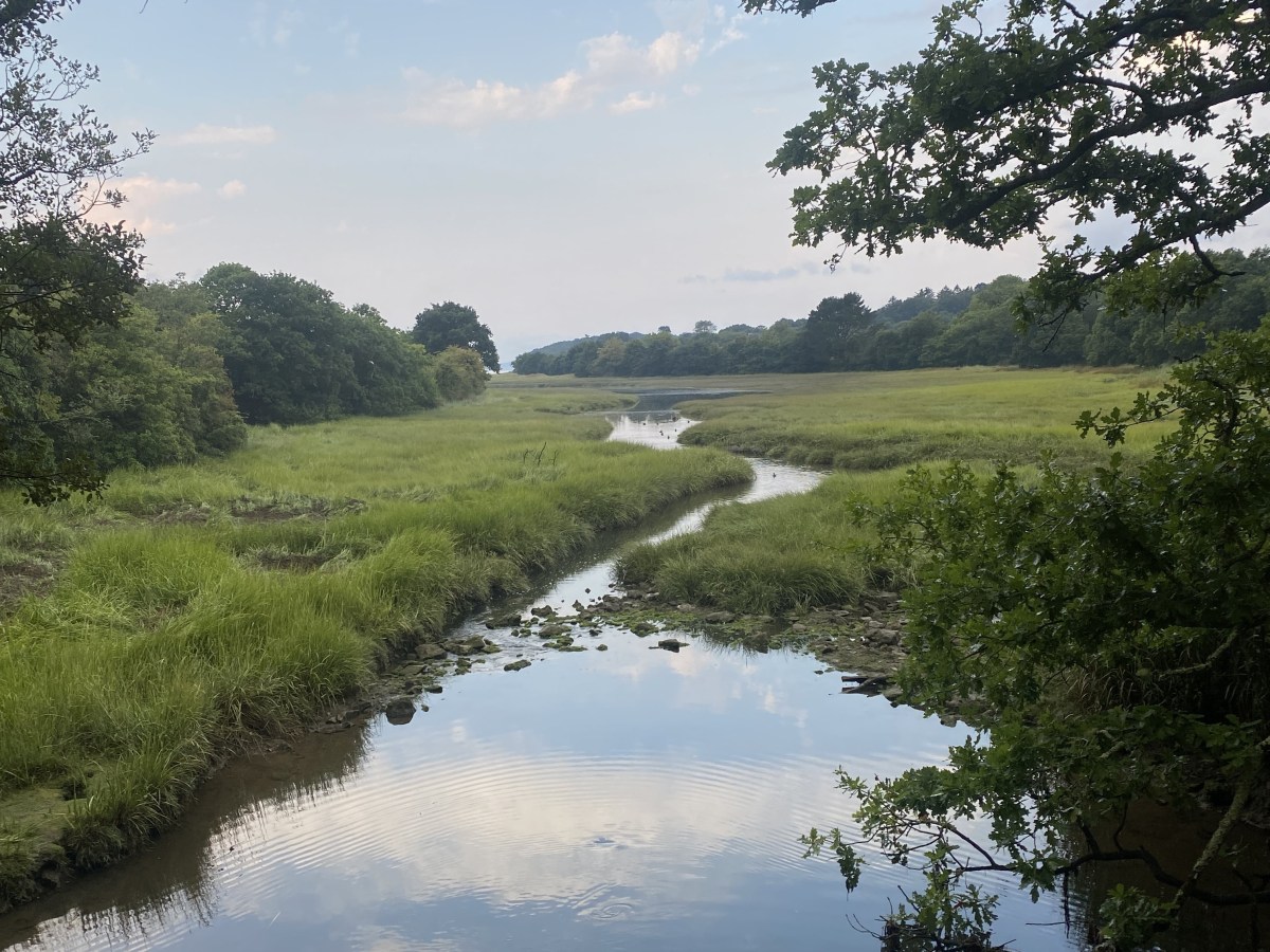 Retour d’expérience d’un été&nbsp;particulier
