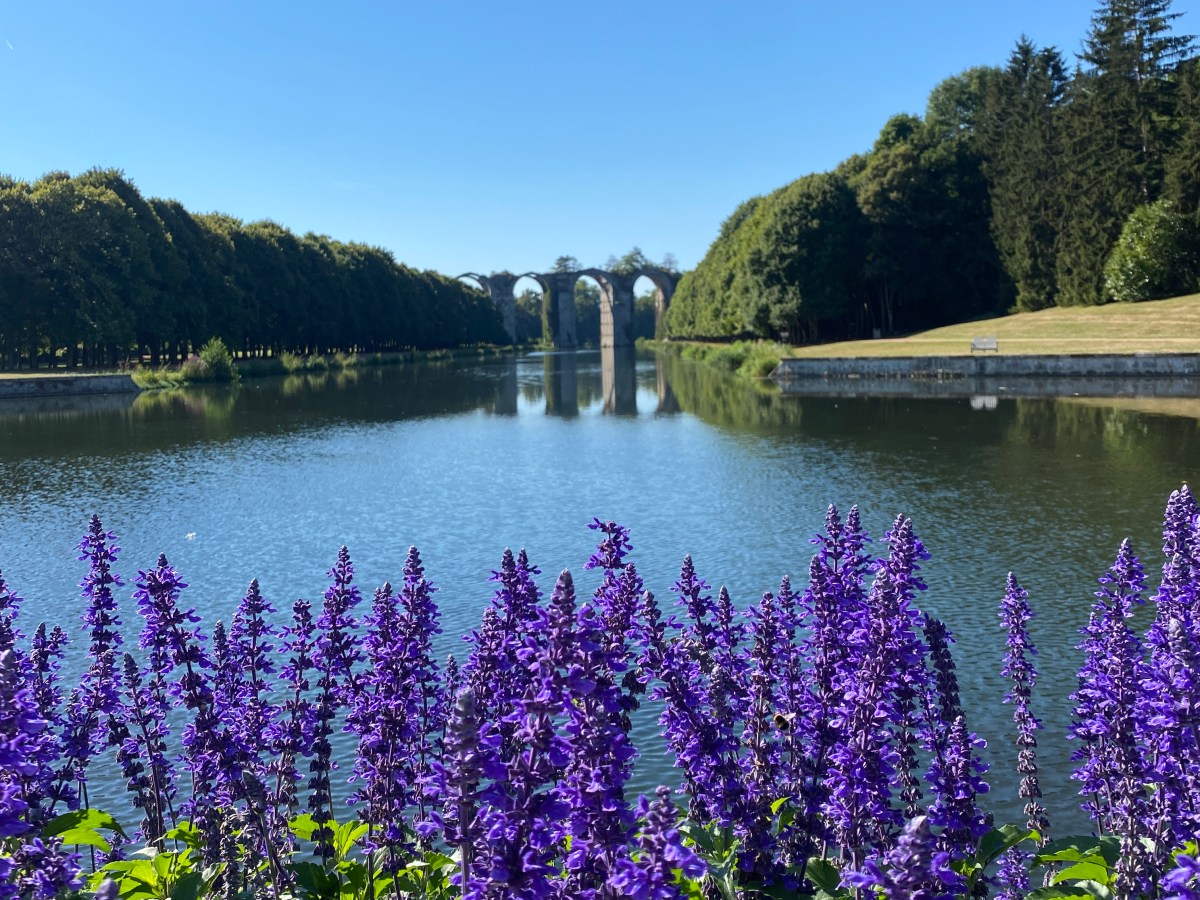 La véloscenie en bonne&nbsp;compagnie